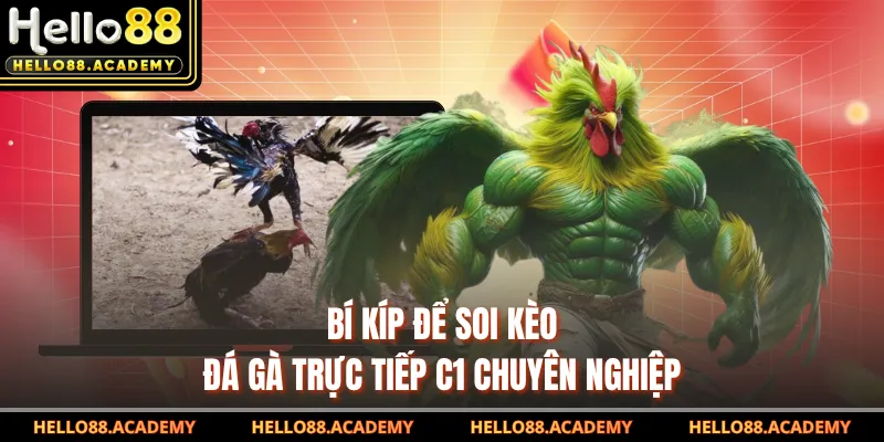Bí kíp để soi kèo đá gà trực tiếp C1 chuyên nghiệp