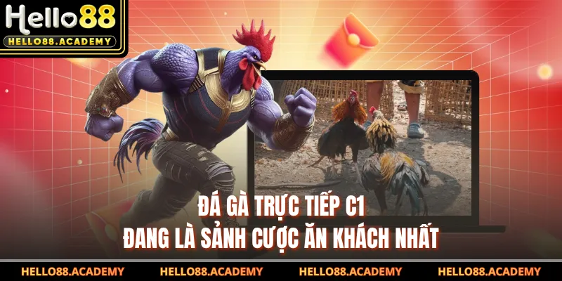 Đá gà trực tiếp C1 đang là sảnh cược ăn khách nhất