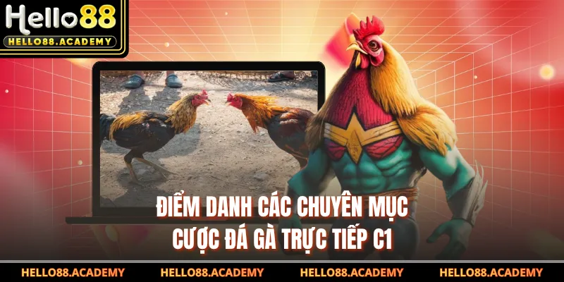 Điểm danh các chuyên mục cược đá gà trực tiếp C1