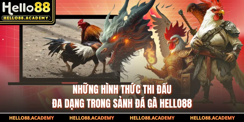 Những hình thức thi đấu đa dạng trong sảnh đá gà HELLO88