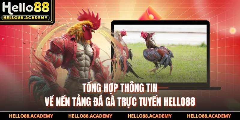 Tổng hợp thông tin về nền tảng đá gà trực tuyến HELLO88 